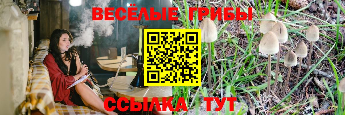 Псилоцибиновые грибы MAGIC MUSHROOMS  Вход с VPN  Заводоуковск 